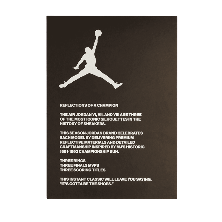 Air Jordan 6 Retro Reflections Angle 8