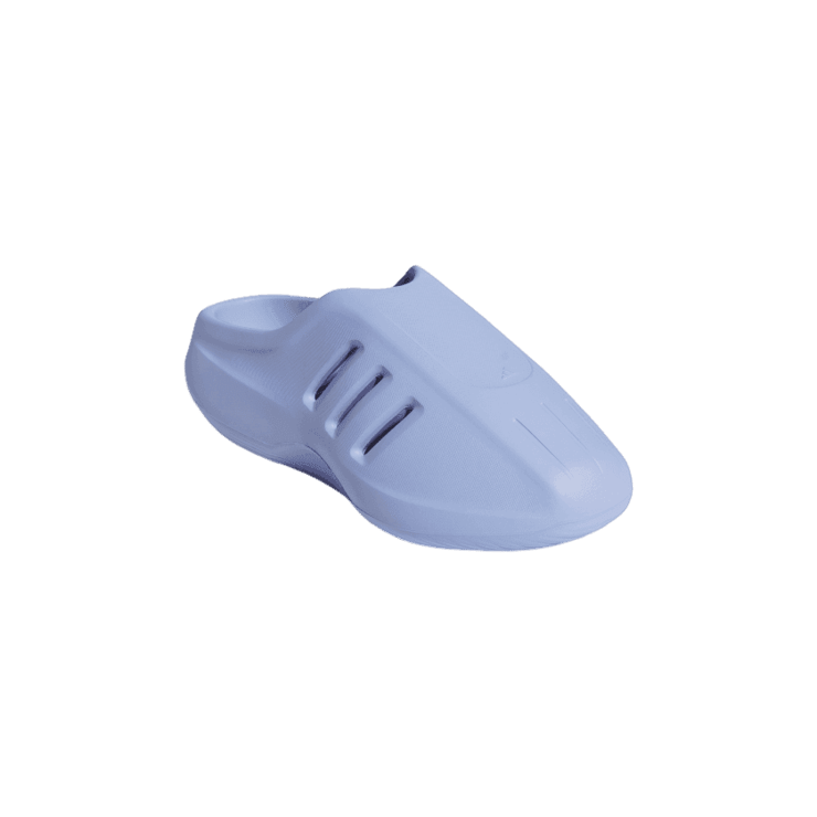 adidas adiFOM IIInfinity Slide Blue Angle 2