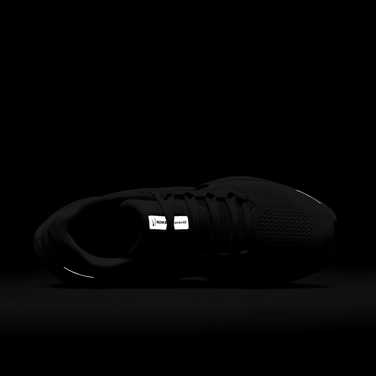 Nike Air Zoom Pegasus 41 Pure Platinum Lilac Bloom (W) Angle 6