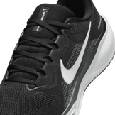 Nike Air Zoom Pegasus 41 Black White Angle 4