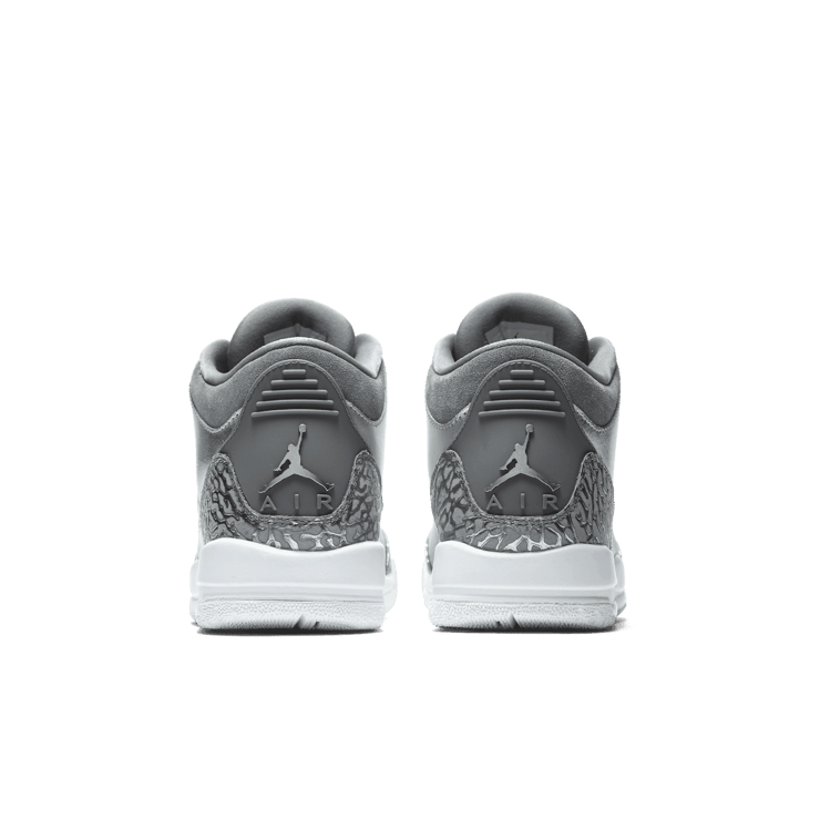 Jordan 3 Retro Premium Heiress Metallic Silver (GS) Angle 3