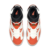 Air Jordan 6 Retro Gatorade Like Mike White Angle 1