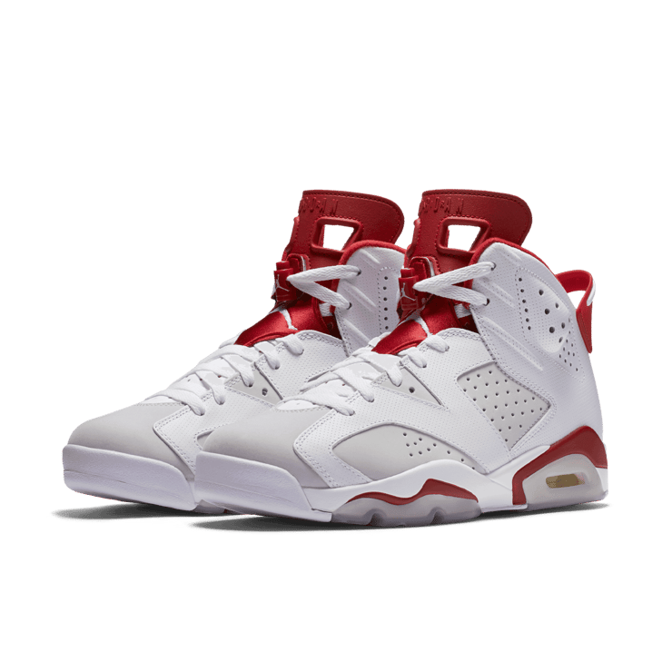 Air Jordan 6 Retro Alternate Hare Angle 2