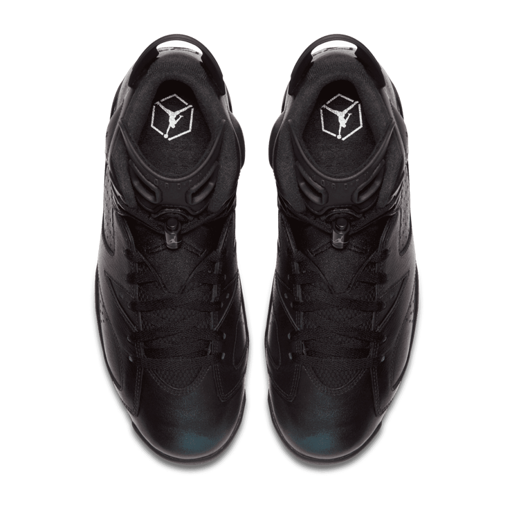 Air Jordan 6 Retro All Star Chameleon (2017) Angle 1