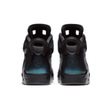 Air Jordan 6 Retro All Star Chameleon (2017) Angle 3