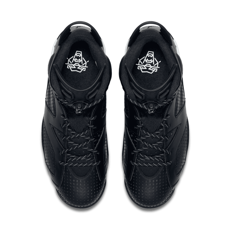 Air Jordan 6 Retro Black Cat Angle 1