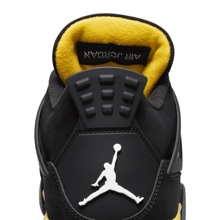 Air Jordan 4 Thunder (2023) Angle 6