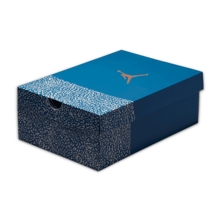 Air Jordan 3 Wizards Angle 6