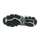 Mizuno Wave Rider 10 Silver Pine Angle 2