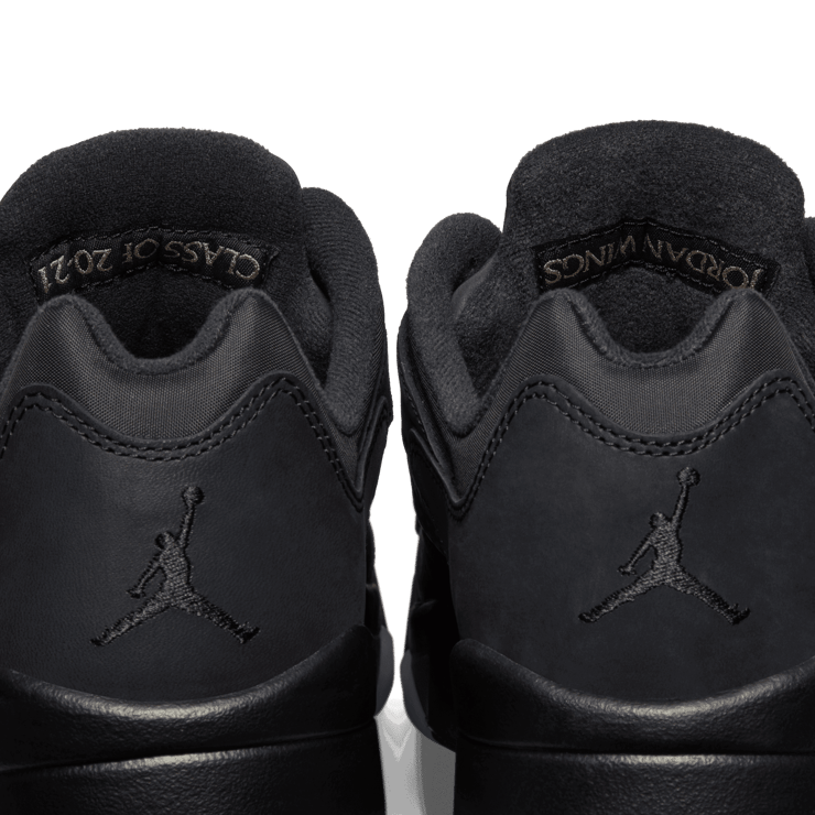 Jordan 5 Retro Low Wings Angle 7