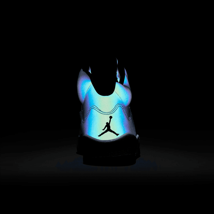 Jordan 5 Retro Oil Grey (W) Angle 5