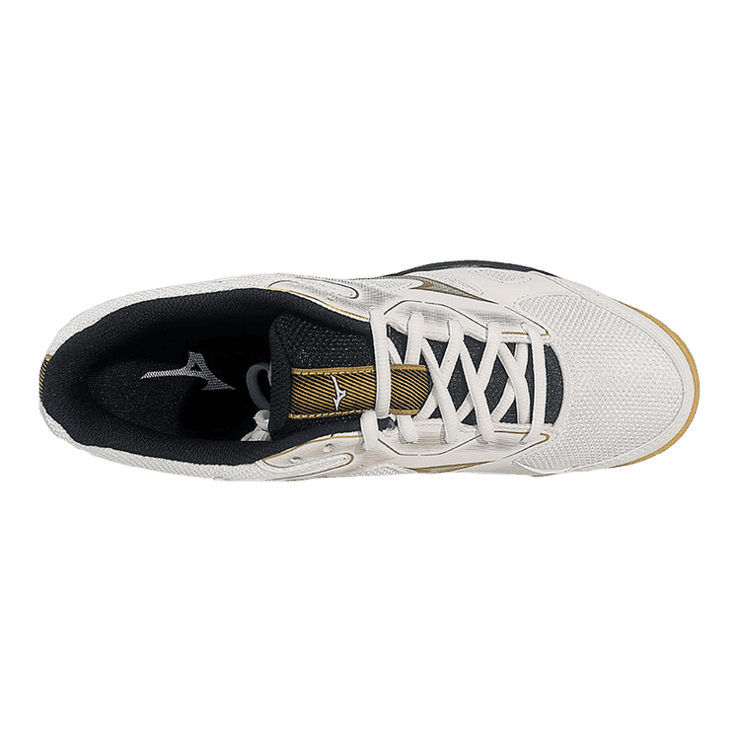 Mizuno Sky Blaster SlipResistant Durable Low Badminton Angle 1