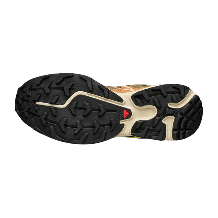 Salomon XT-6 Expanse 'Cathay Spice' Angle 2