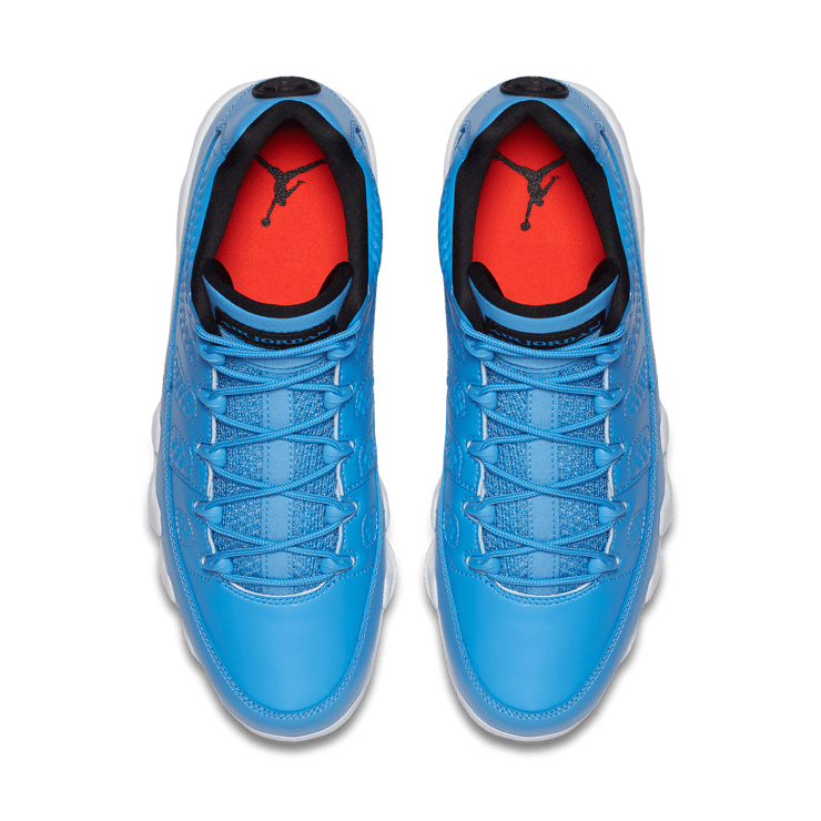 Jordan 9 Retro Low Pantone Angle 1