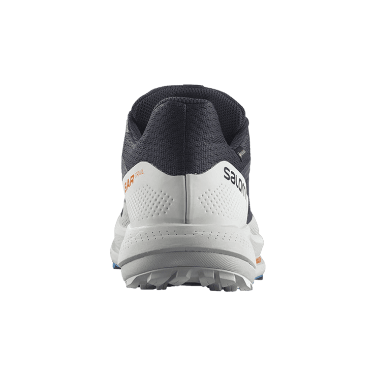 Salomon Pulsar Trail GTX Night Sky Angle 0