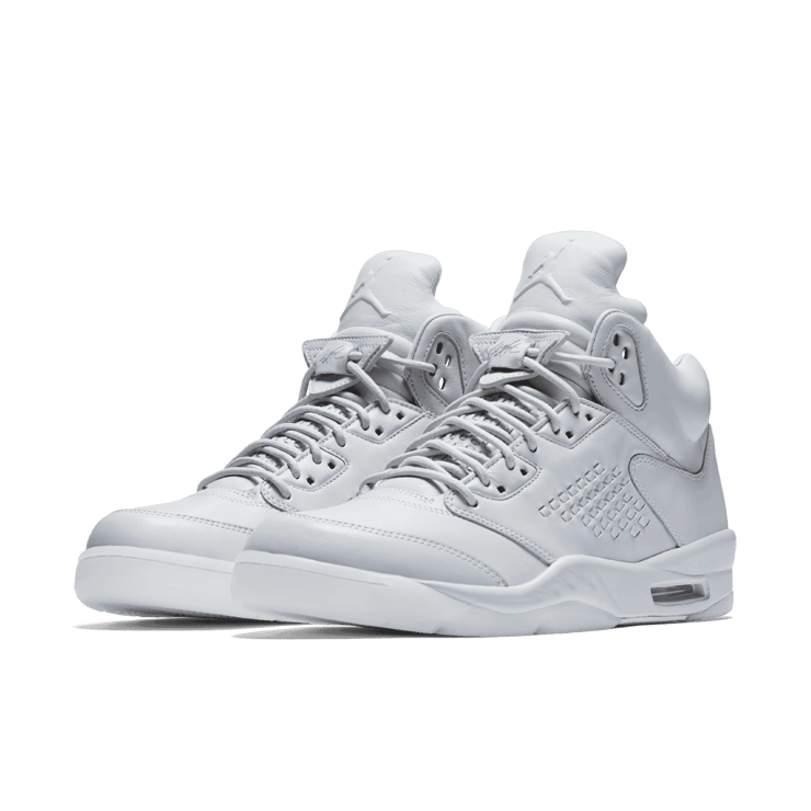 Jordan 5 Retro Pure Platinum Angle 2