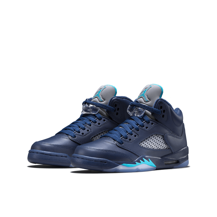 Jordan 5 Retro Pre-Grape (GS) Angle 2