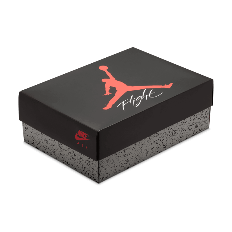 Air Jordan 4 Retro White Cement Angle 2