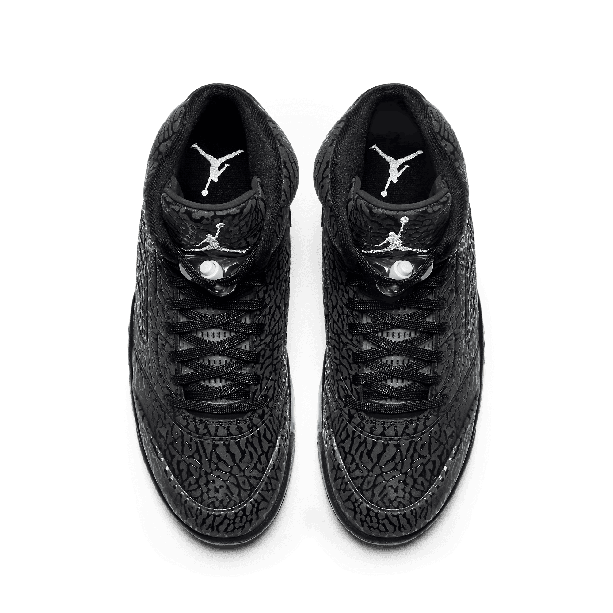 jordan lab 5