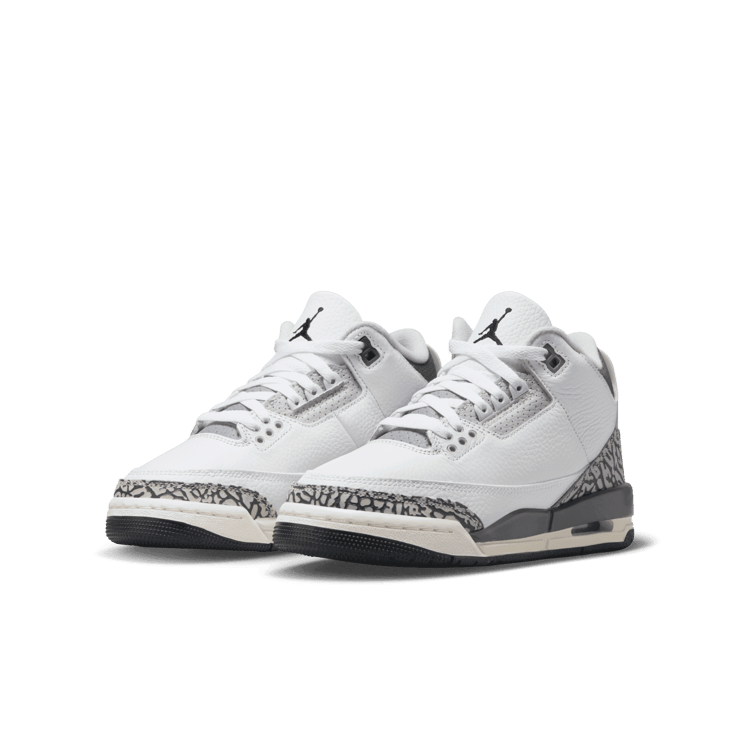 Air Jordan 3 Hide N' Sneaks (GS) Angle 2