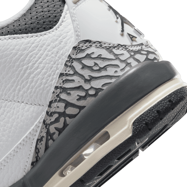 Air Jordan 3 Hide N' Sneaks (GS) Angle 5