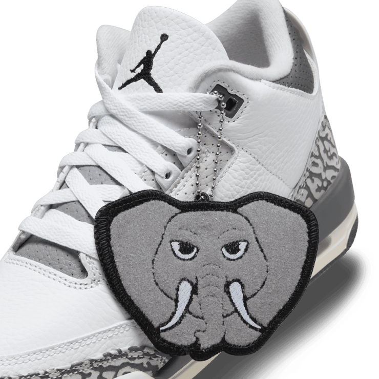 Air Jordan 3 Hide N' Sneaks (GS) Angle 6