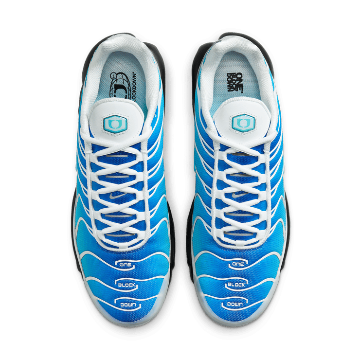 Nike Air Max Plus One Block Down Light Photo Blue Angle 1