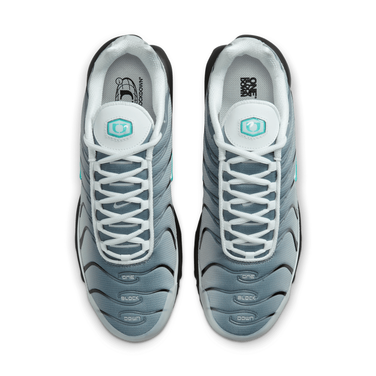 Nike Air Max Plus One Block Down Matte Silver Angle 1