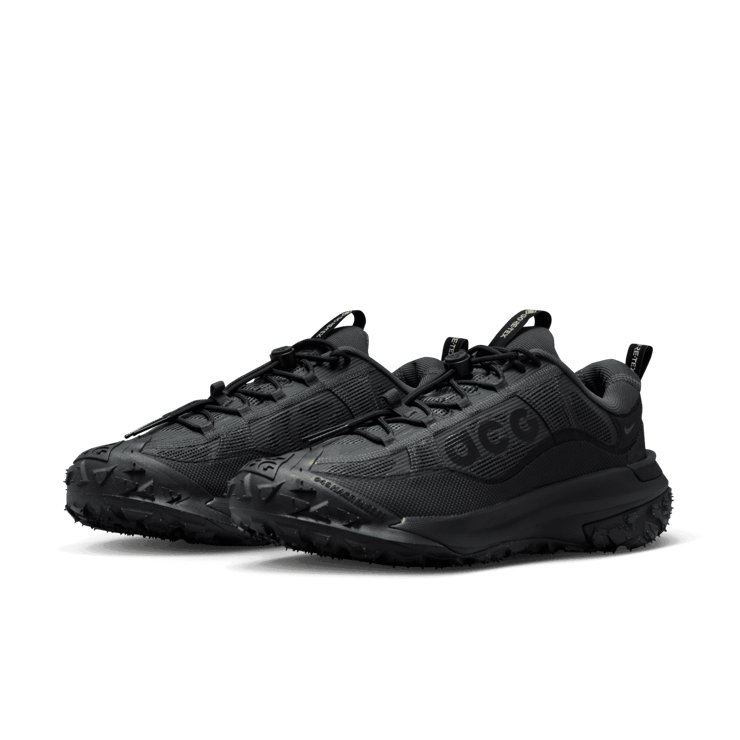 Nike ACG Mountain Fly 2 Low GORE-TEX Dark Smoke Grey Angle 2