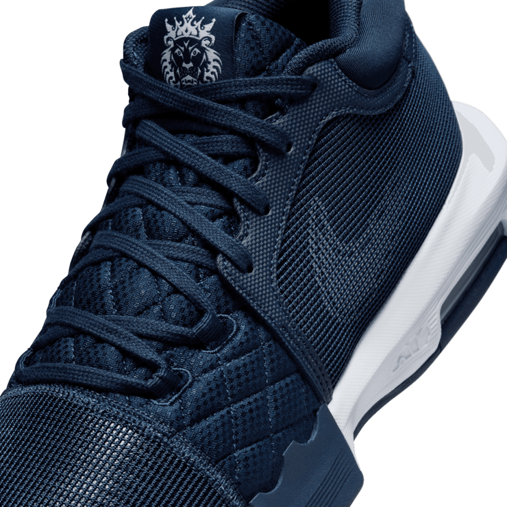 Nike LeBron Witness 8 (Team Bank) Basketball Angle 4