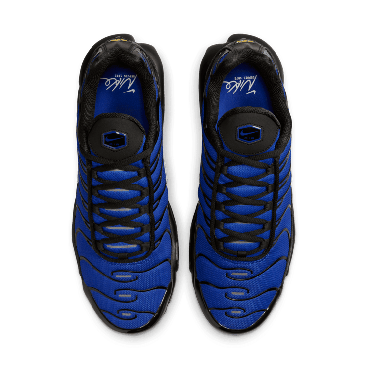 Nike Air Max Plus Premium Racer Blue Angle 1