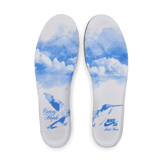 Nike SB Dunk Low Pro Nicole Hause Angle 7