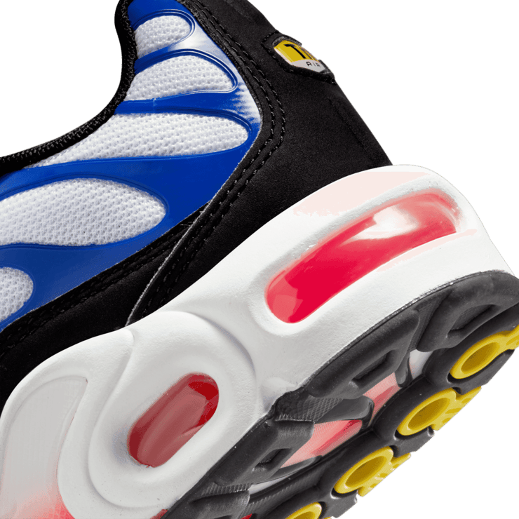 Nike Air Max Plus (GS) Angle 5