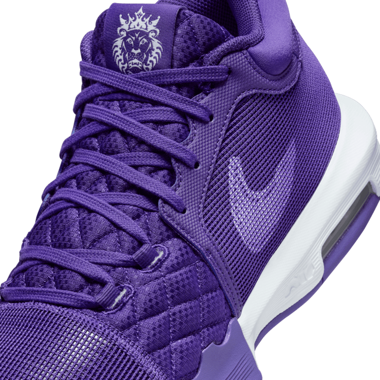 Nike LeBron Witness 8 (Team Bank) Basketball Angle 4