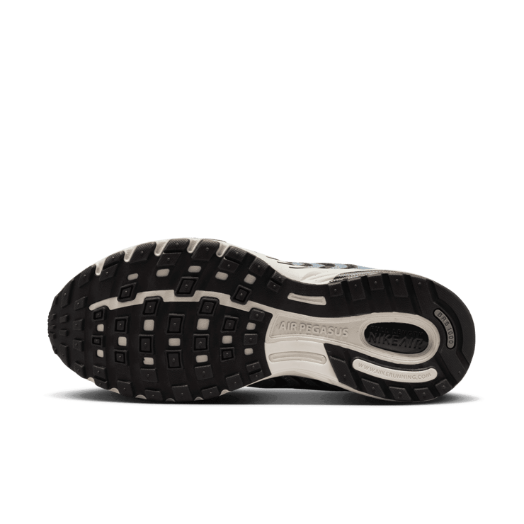 Nike Air Pegasus 2005 C.O.R. Angle 0