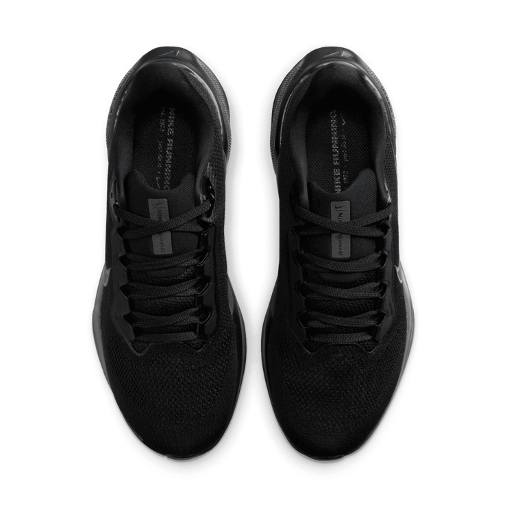 Nike Air Zoom Pegasus 41 'Black Anthracite' (W) Angle 1