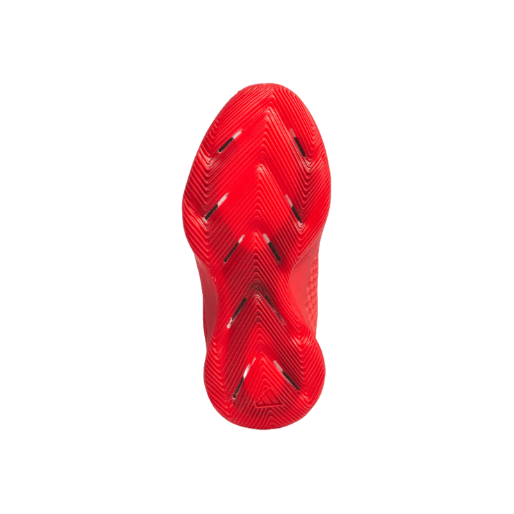 adidas AE 1 Bred (GS) Angle 1