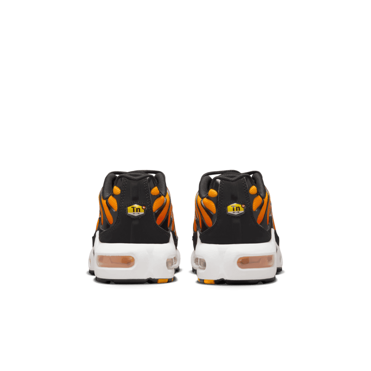 Nike Air Max Plus (GS) Angle 3