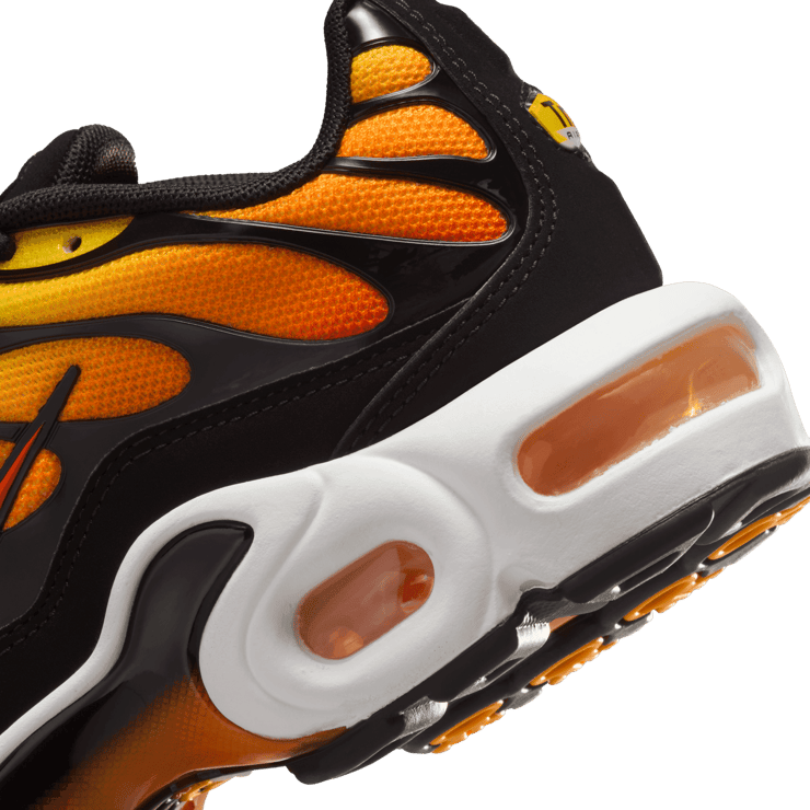 Nike Air Max Plus (GS) Angle 5