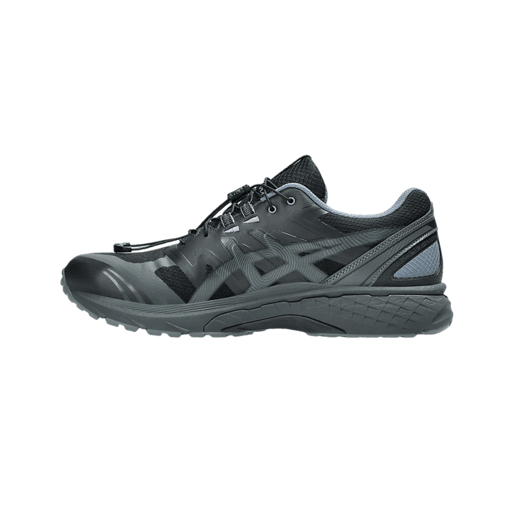 Asics Gel-Terrain San San Gear Phantom Grey Angle 2