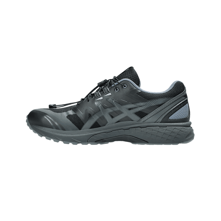 Asics Gel-Terrain San San Gear Phantom Grey Angle 2