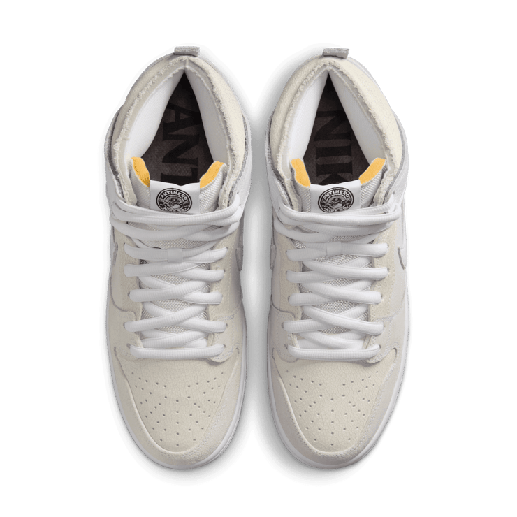 Nike SB Dunk High Antihero Skateboards Angle 1