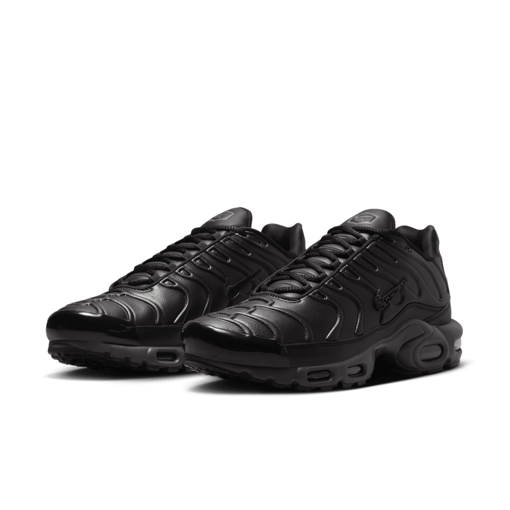 Nike Air Max Plus Premium Black Tea Angle 2