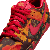 Nike SB Dunk Low The Wizard of Oz Angle 4