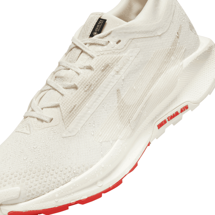 Nike Pegasus Trail 5 GORE-TEX Waterproof Trail Angle 8