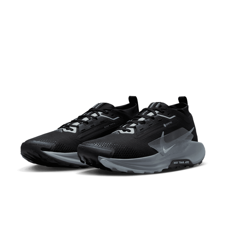 Nike Pegasus Trail 5 GORE-TEX 'Black Wolf Grey' Angle 2