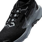 Nike Pegasus Trail 5 GORE-TEX 'Black Wolf Grey' Angle 7