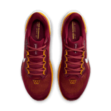 Nike Zoom Pegasus 41 Commanders Angle 1