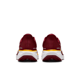 Nike Zoom Pegasus 41 Commanders Angle 3