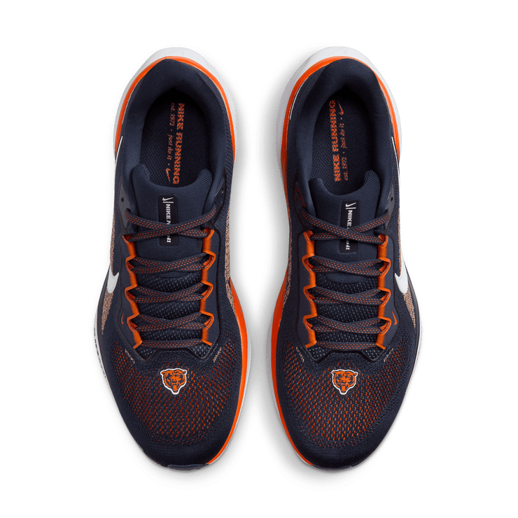 Nike Zoom Pegasus 41 Bears Angle 1